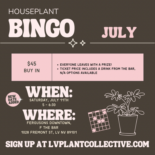 Houseplant Bingo, 7/11