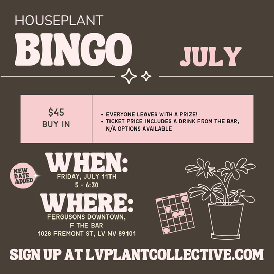 Houseplant Bingo, 7/11