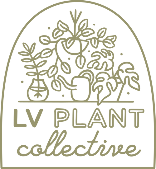 LAS VEGAS PLANT COLLECTIVE – LV PLANT COLLECTIVE