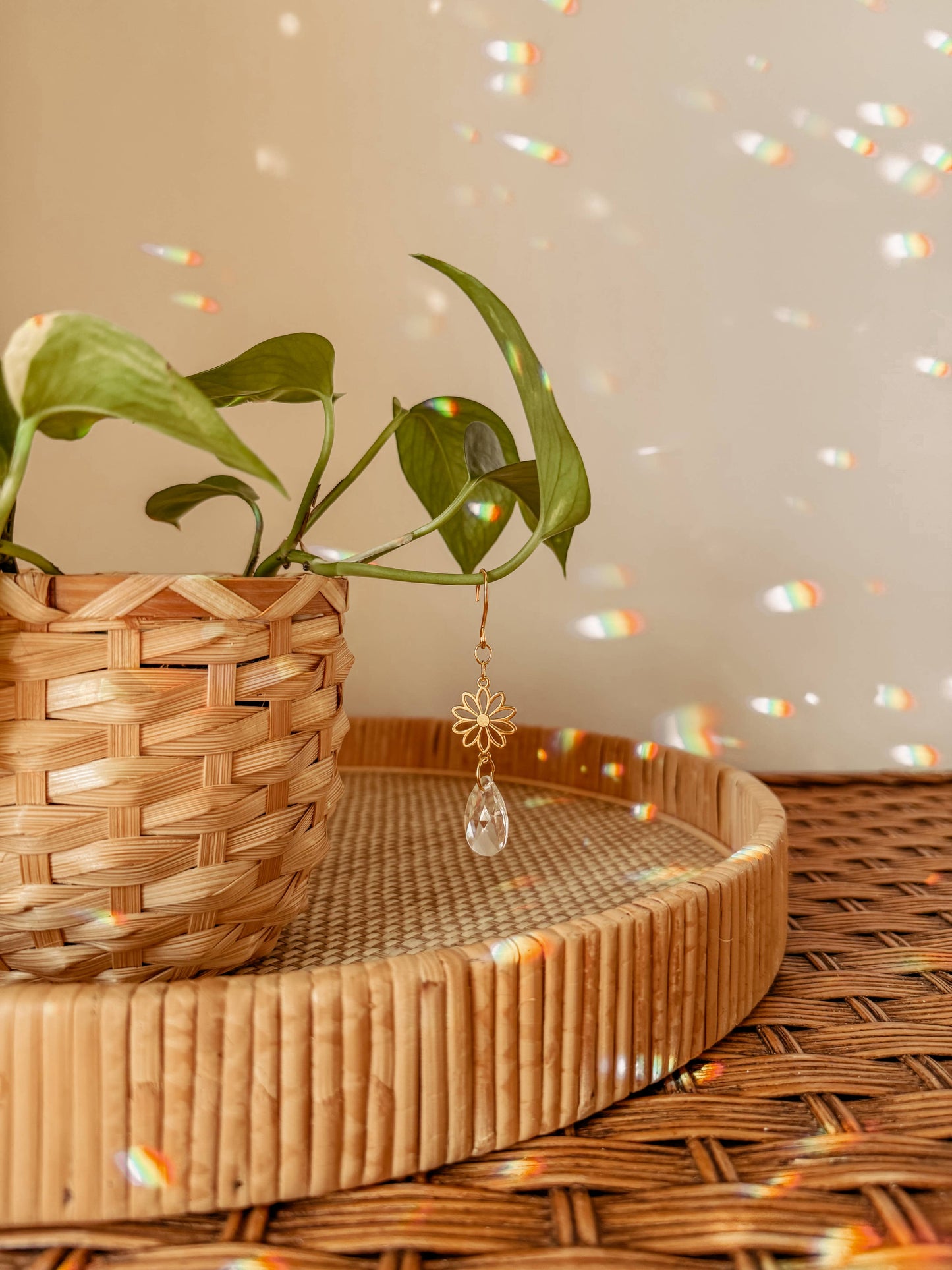 Plant Charm | Suncatcher + Daisy | Houseplant Vine Accessory