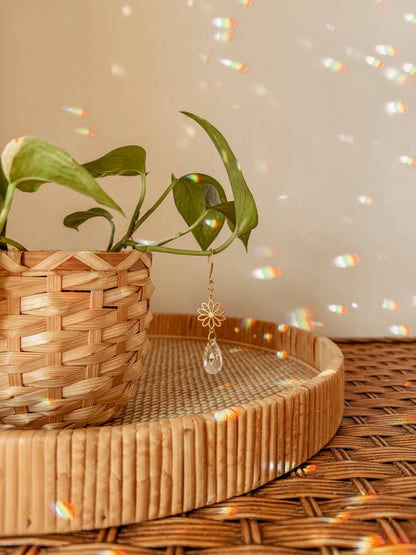 Plant Charm | Suncatcher + Daisy | Houseplant Vine Accessory