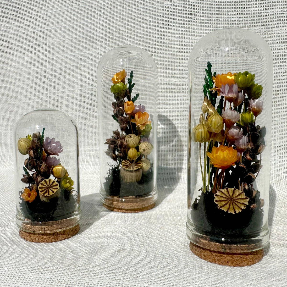 Hexed Hollow Mini Terrarium Halloween Dried Floral Cloche