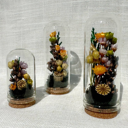 Hexed Hollow Mini Terrarium Halloween Dried Floral Cloche