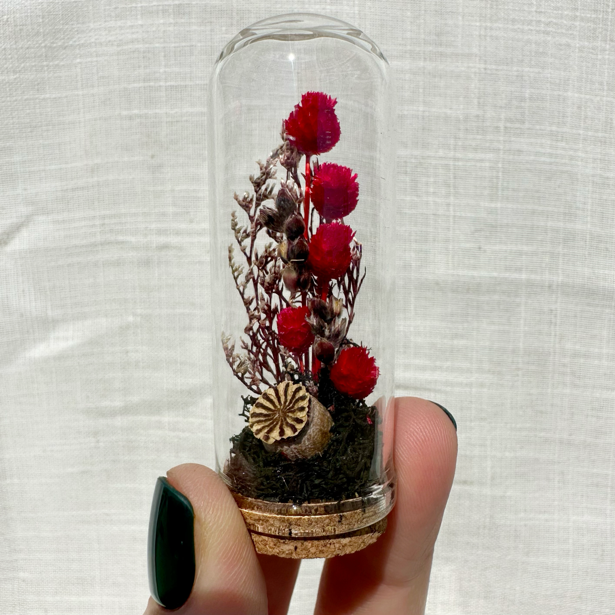 Scorched Earth Mini Terrarium Dark Academia Floral Cloche