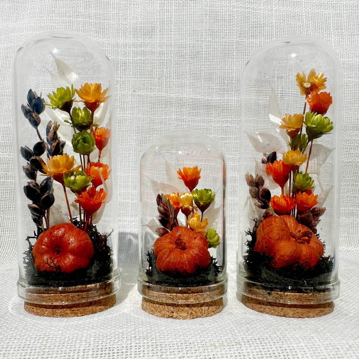 Harvest Moon Mini Terrarium Halloween Dried Floral Cloche
