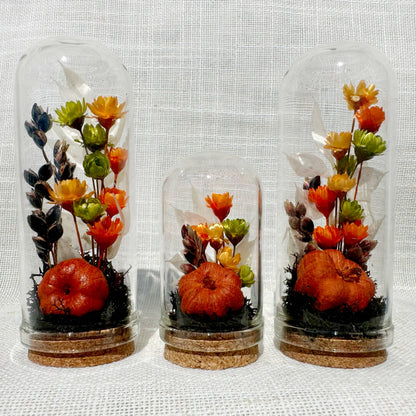 Harvest Moon Mini Terrarium Halloween Dried Floral Cloche