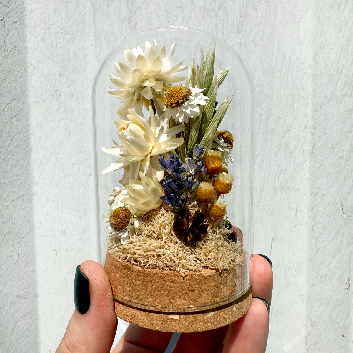 Large Botanical Terrarium Cloche w. White Dried Flowers