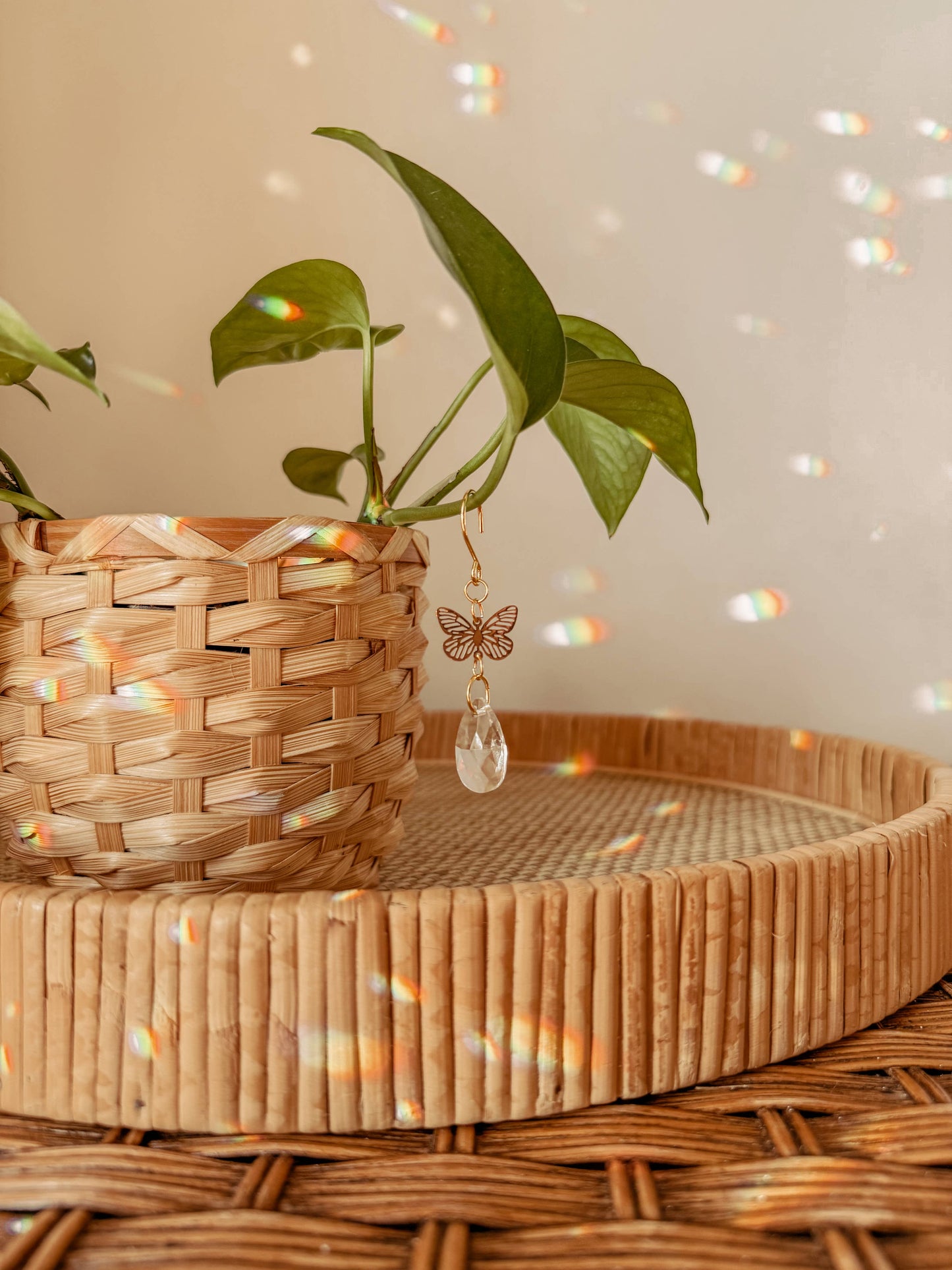 Plant Charm | Suncatcher + Butterfly | Houseplant Accessory