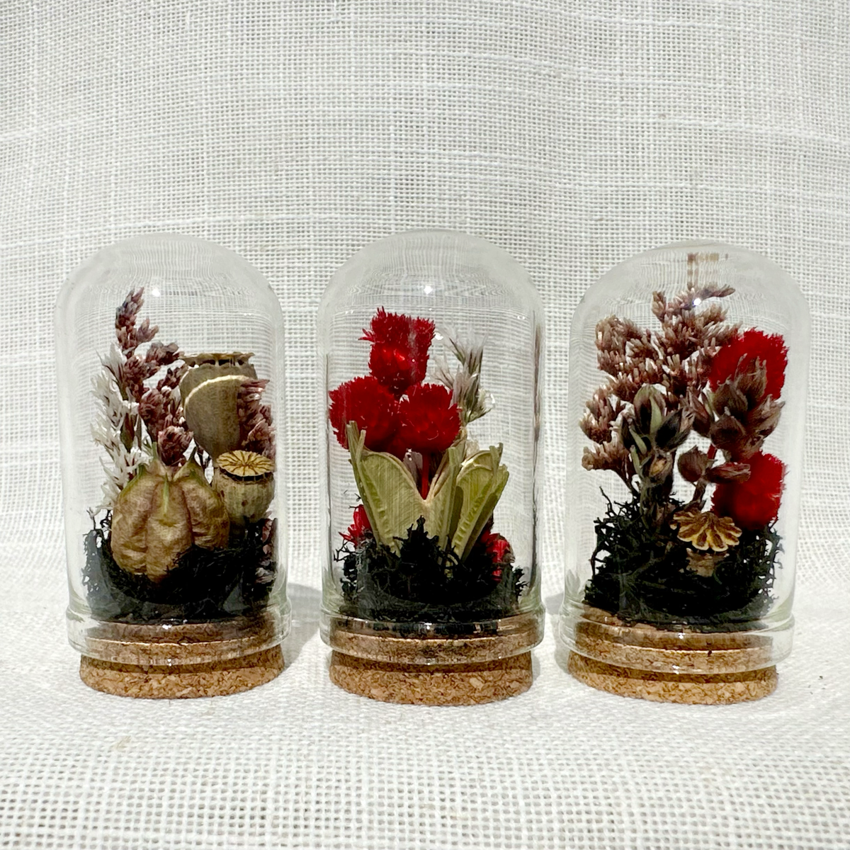 Dark Academia Mix Mini Dried Floral Terrarium Curio Jar