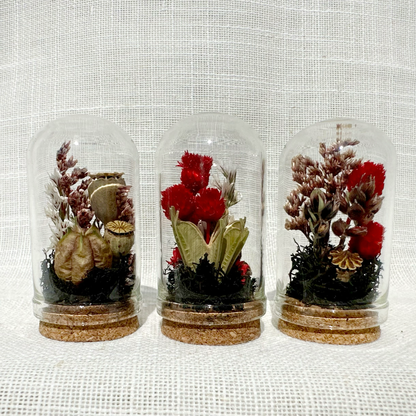 Dark Academia Mix Mini Dried Floral Terrarium Curio Jar