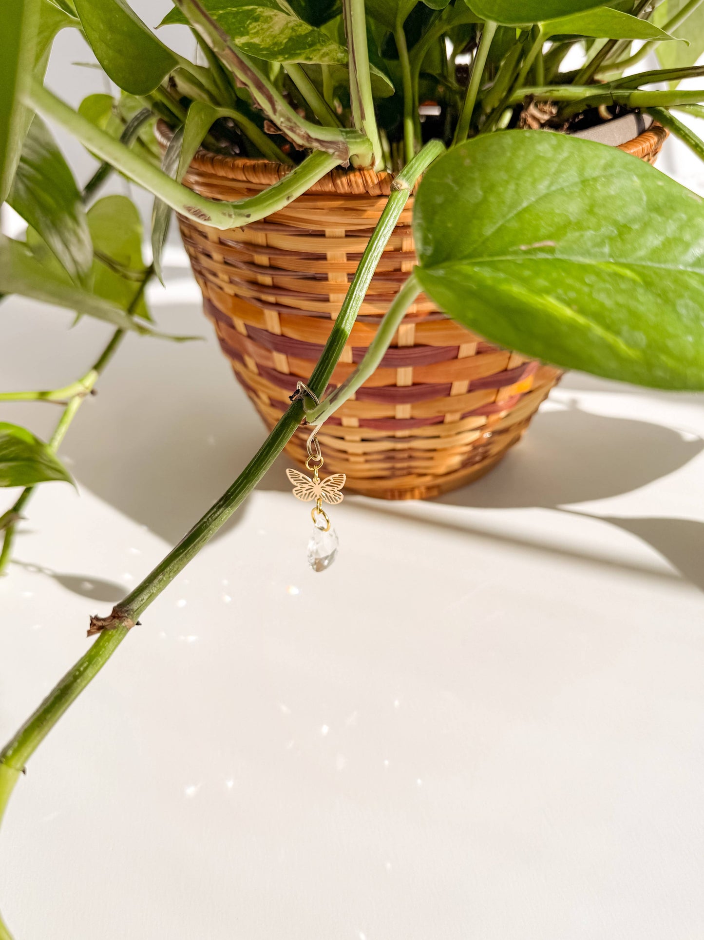 Plant Charm | Suncatcher + Butterfly | Houseplant Accessory
