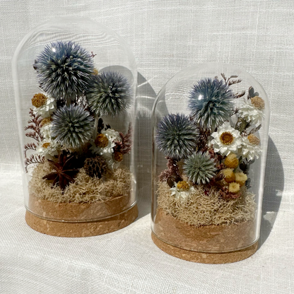 Large Botanical Terrarium Cloche w. Blue Dried Flowers