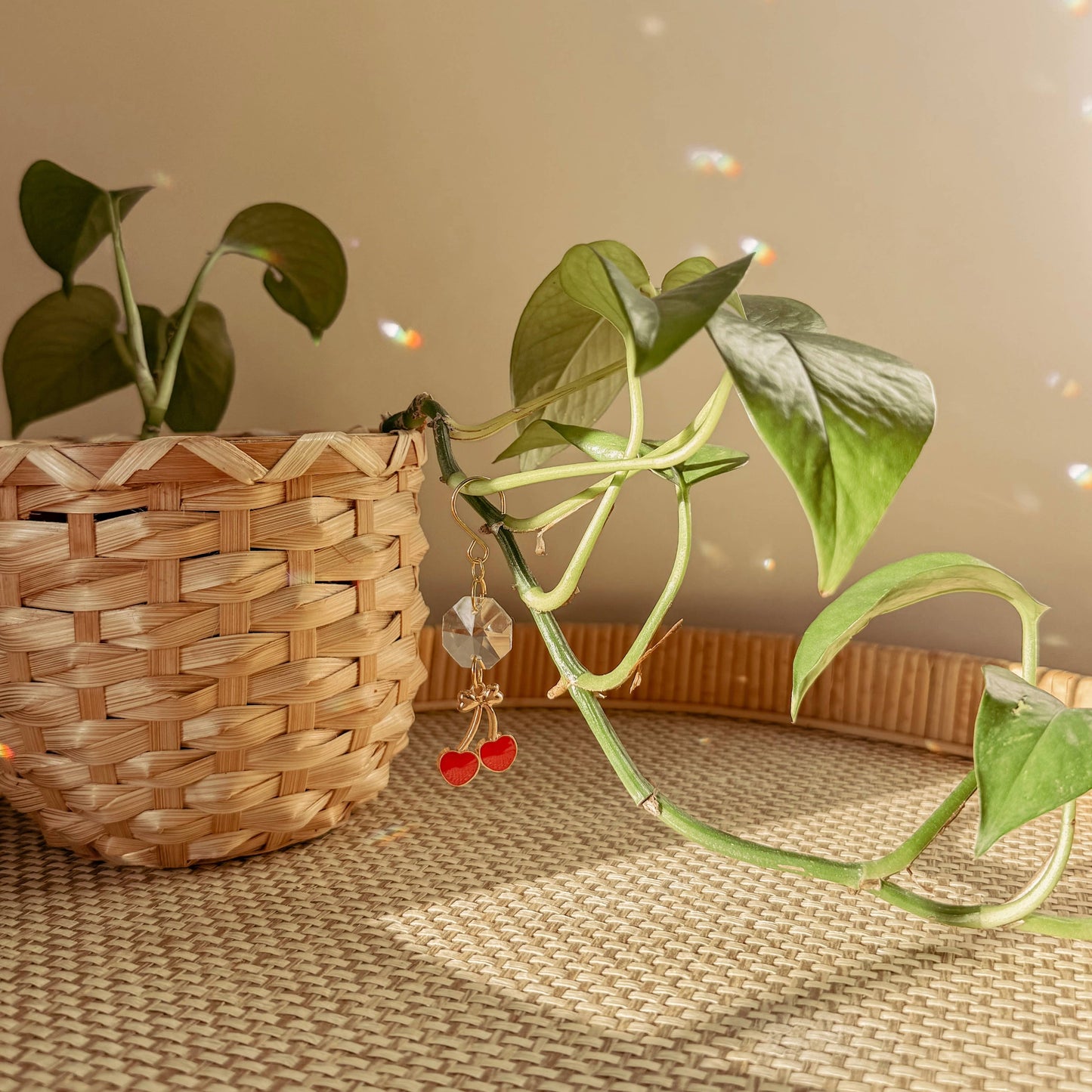 Plant Charm | Suncatcher + Cherry | Houseplant Vine Decor