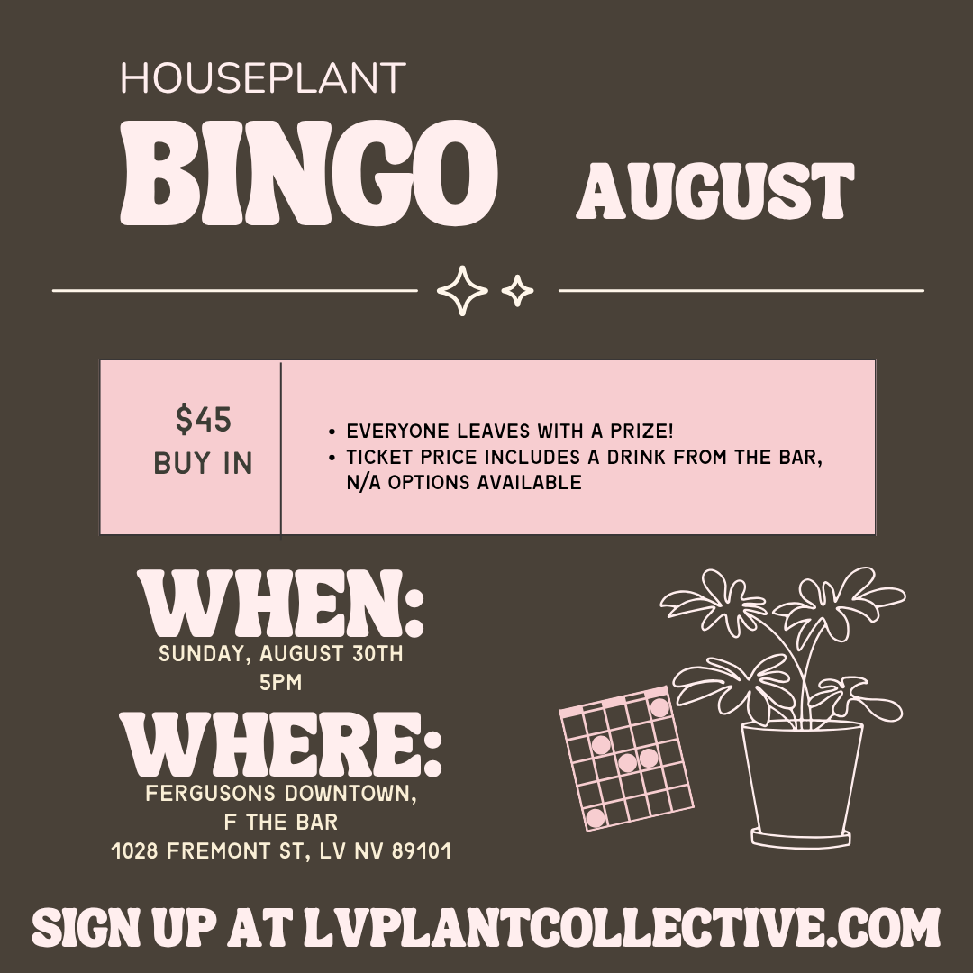 Bingo, 8/30