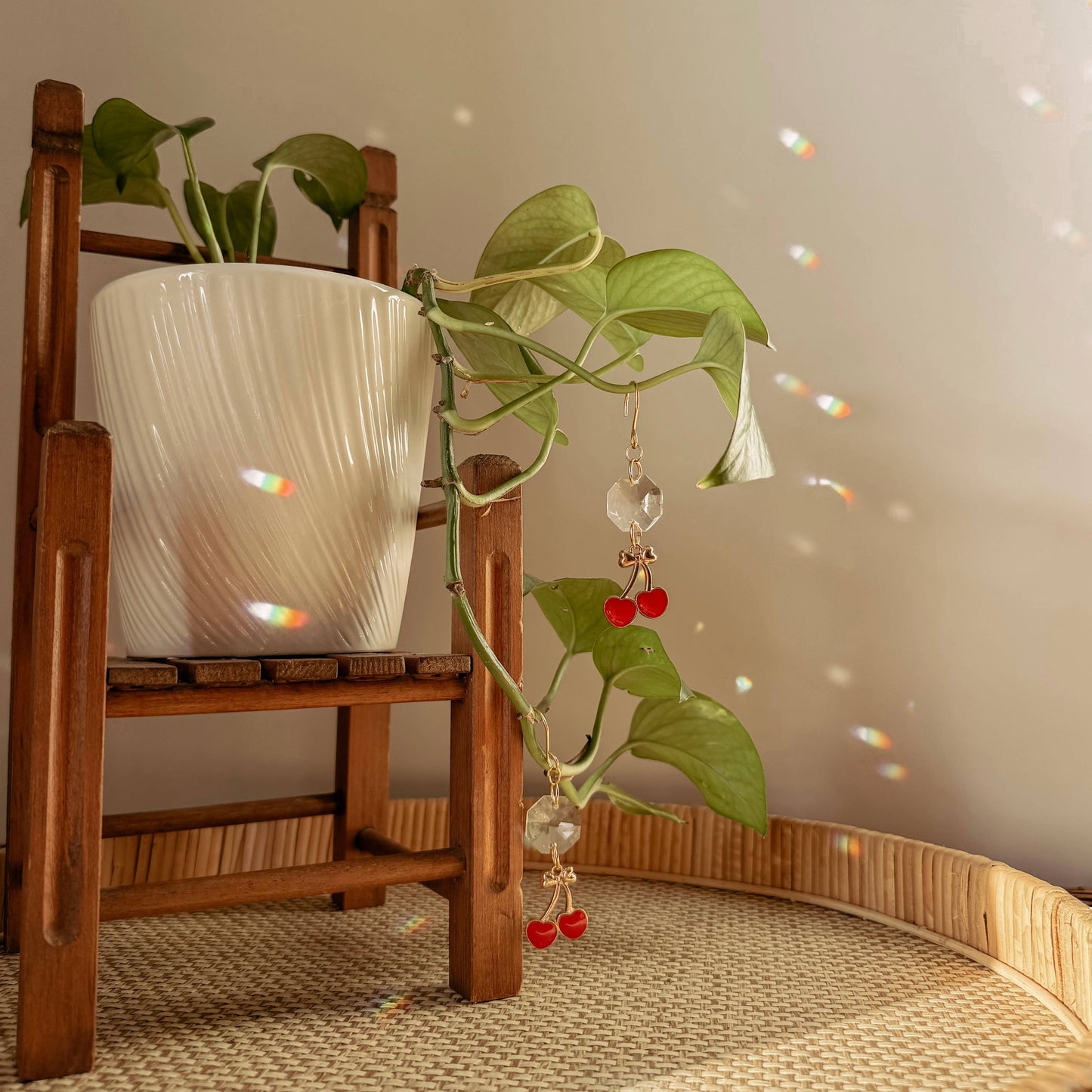 Plant Charm | Suncatcher + Cherry | Houseplant Vine Decor
