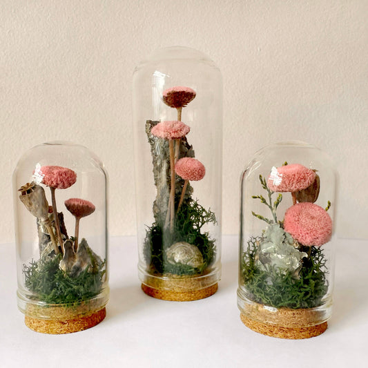 Pink Mushroom Fields Mini Glass Cloche Terrarium