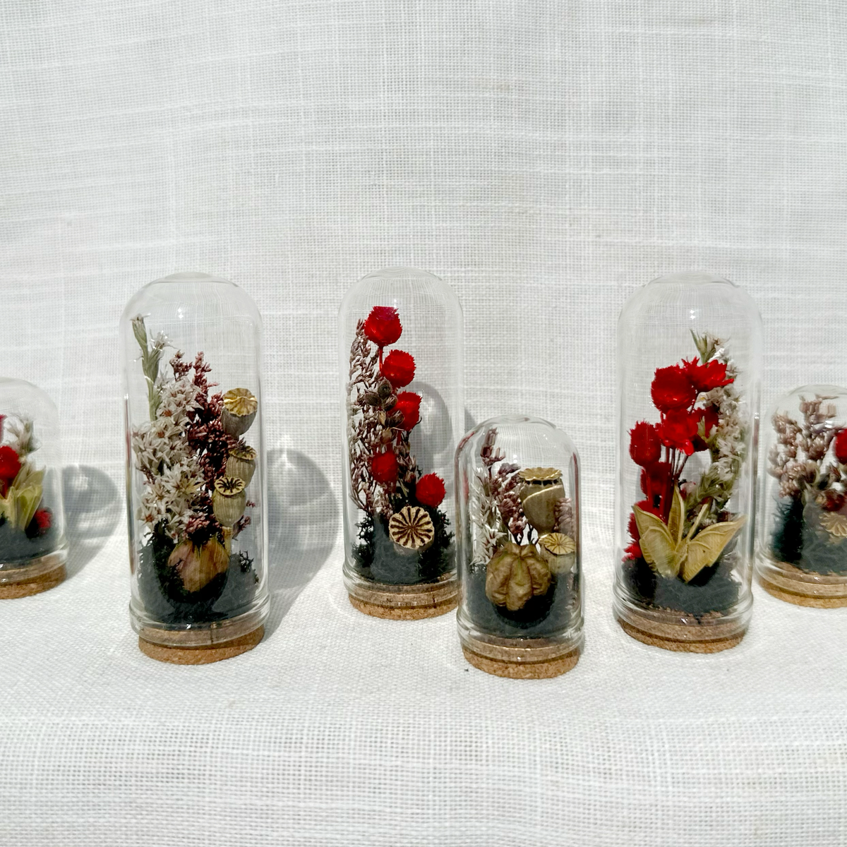 Dark Academia Mix Mini Dried Floral Terrarium Curio Jar
