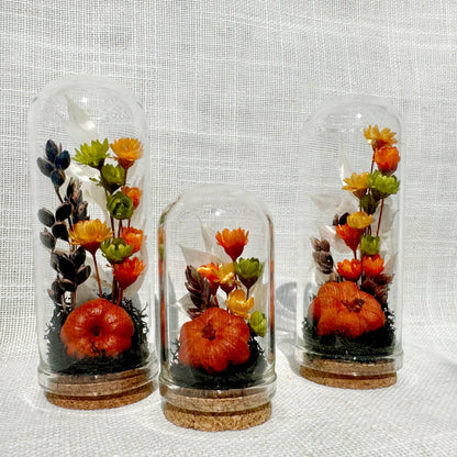 Harvest Moon Mini Terrarium Halloween Dried Floral Cloche