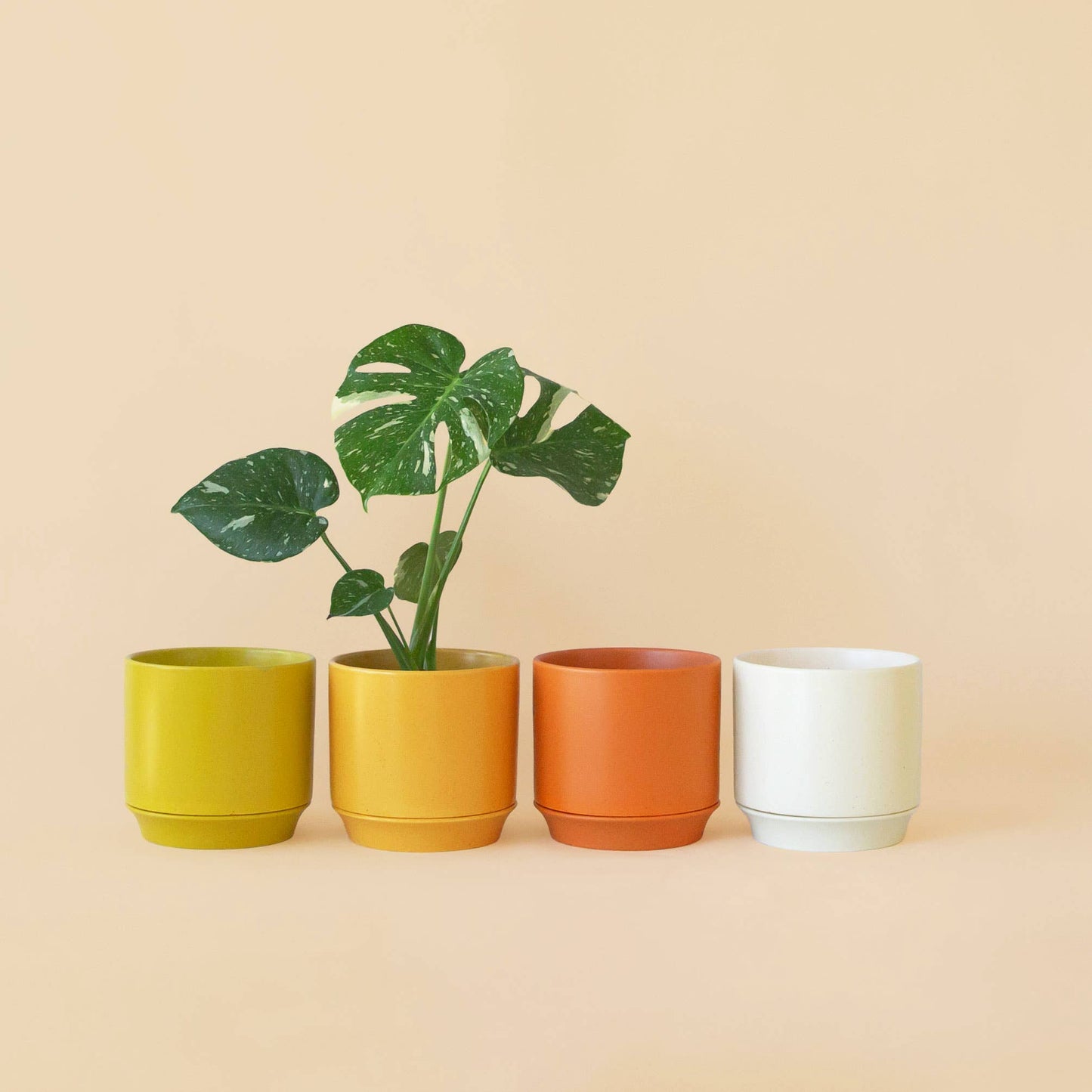 Parker Planter | Honey Speckle with Trivet