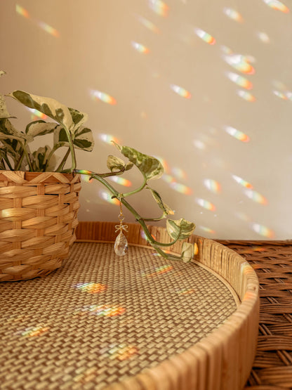 Plant Charm | Sun Catcher + Bow | Houseplant Accessory Jewel