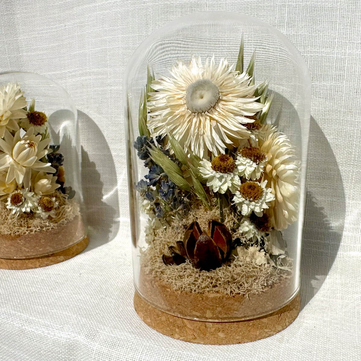 Large Botanical Terrarium Cloche w. White Dried Flowers