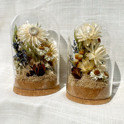 Large Botanical Terrarium Cloche w. White Dried Flowers