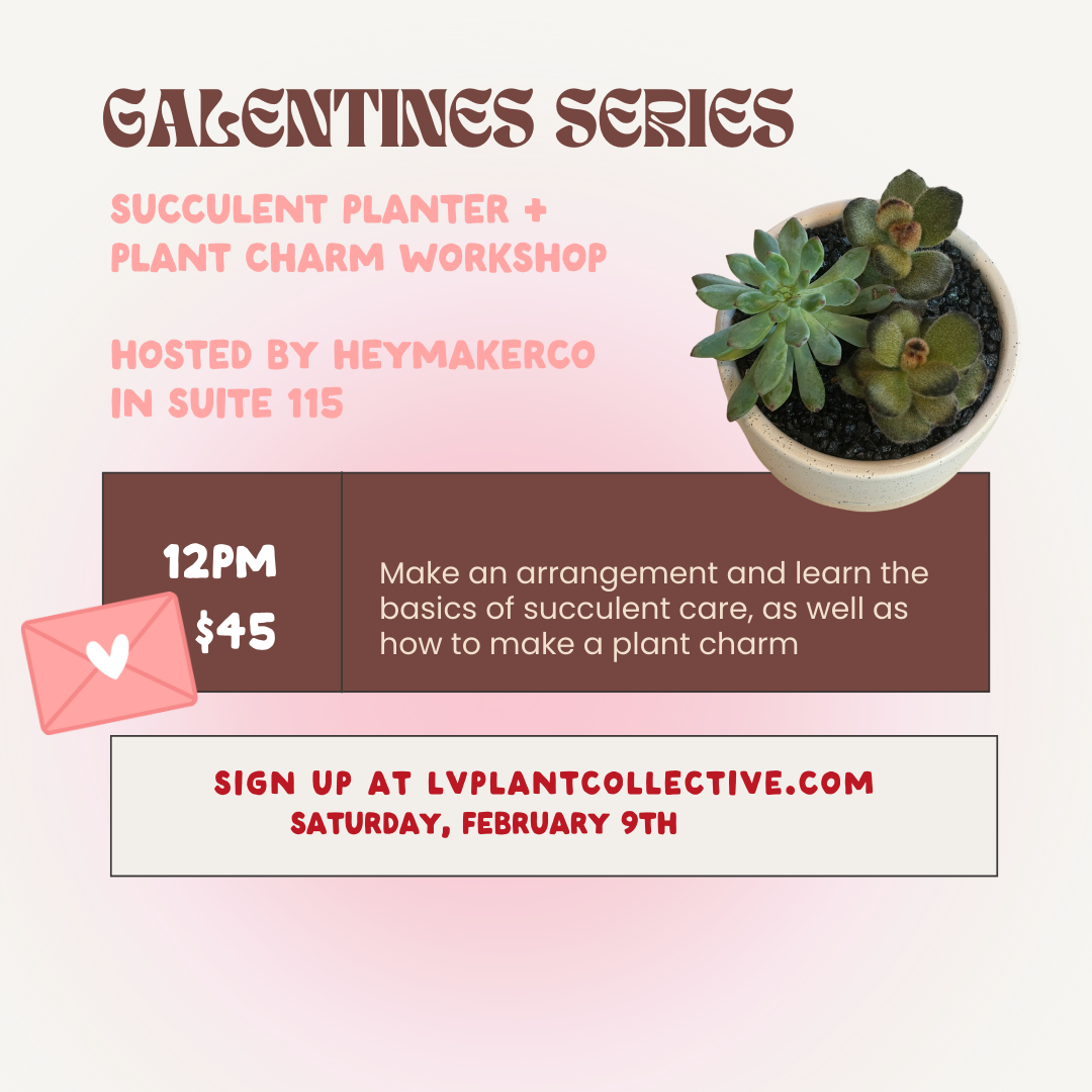 Galentines succulent class