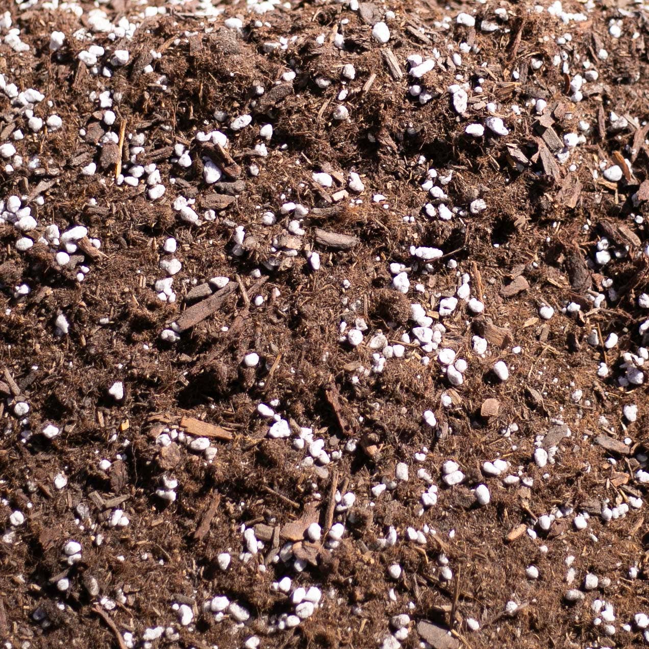 Bulk Soil- Premium Houseplant & Aroid Potting Mix