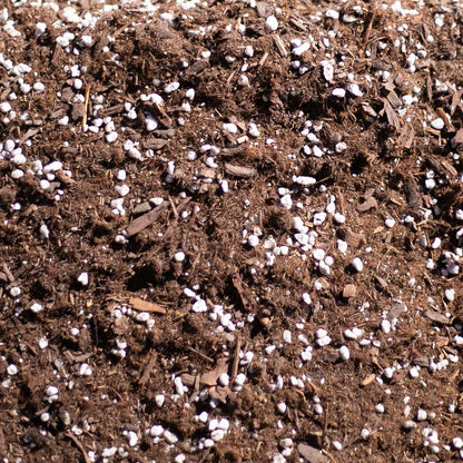 Bulk Soil- Premium Houseplant & Aroid Potting Mix