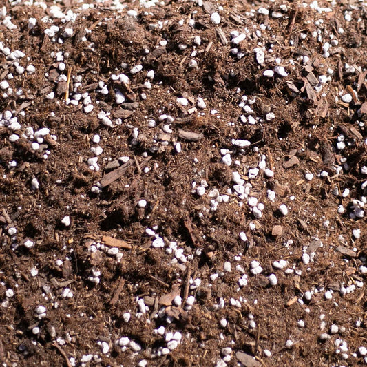 Bulk Soil- Premium Houseplant & Aroid Potting Mix