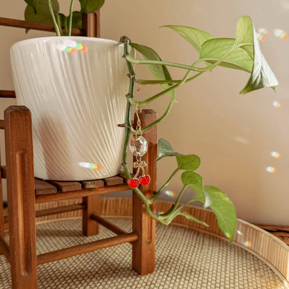 Plant Charm | Suncatcher + Cherry | Houseplant Vine Decor