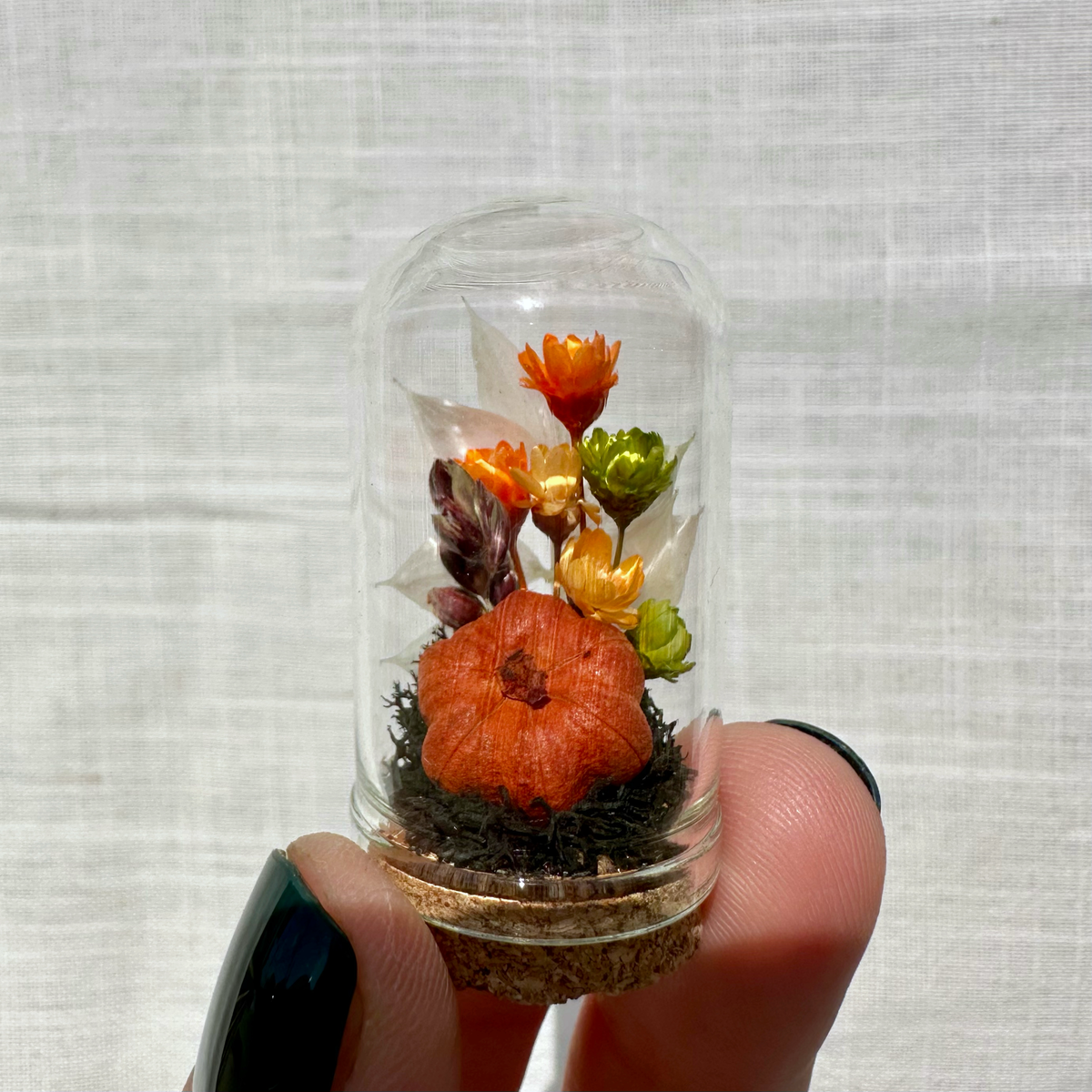 Harvest Moon Mini Terrarium Halloween Dried Floral Cloche