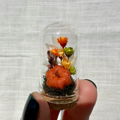 Harvest Moon Mini Terrarium Halloween Dried Floral Cloche