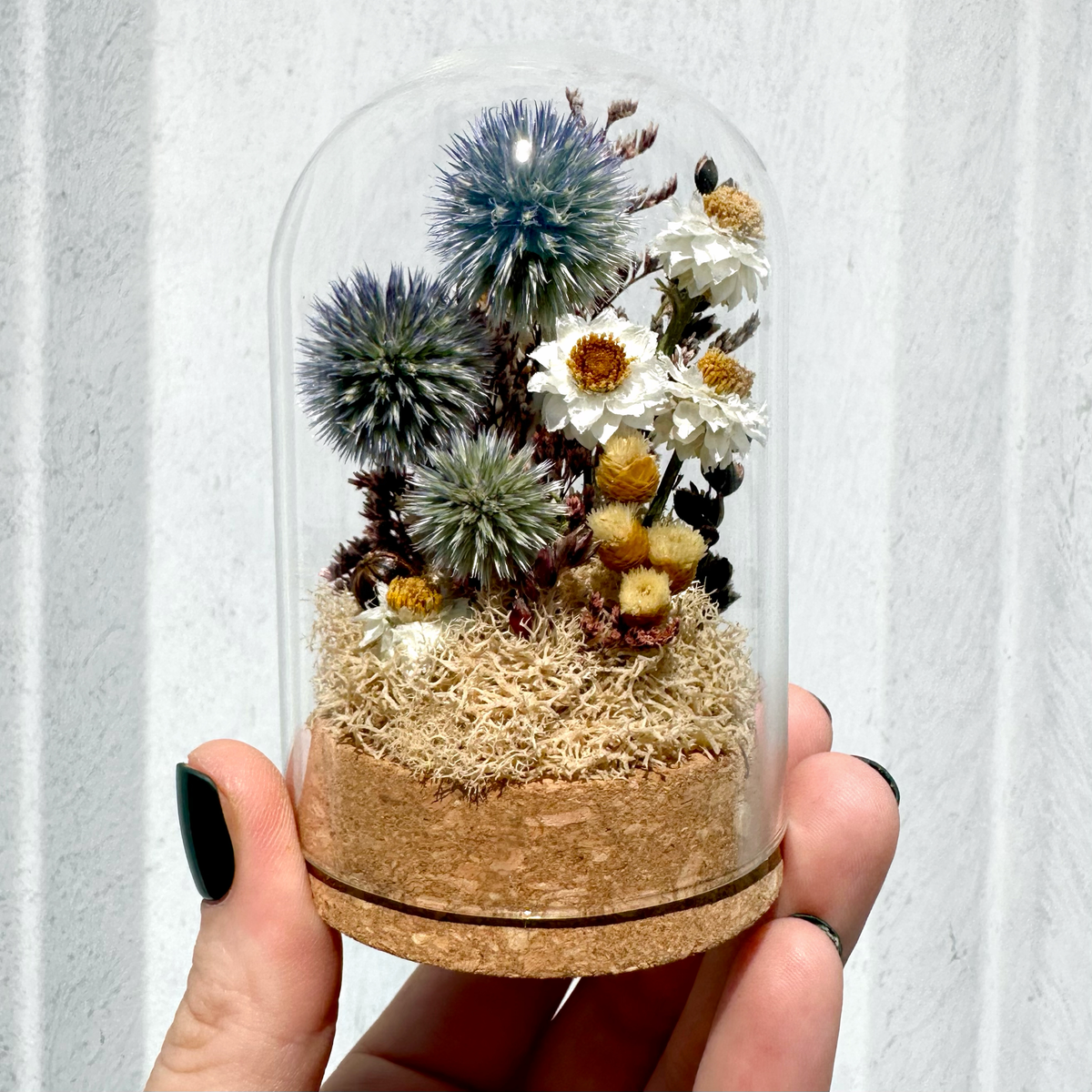 Large Botanical Terrarium Cloche w. Blue Dried Flowers