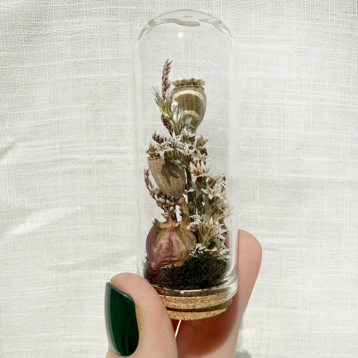 Dark Academia Mix Mini Dried Floral Terrarium Curio Jar