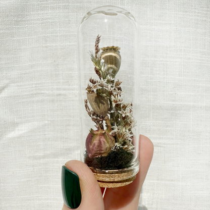 Dark Academia Mix Mini Dried Floral Terrarium Curio Jar