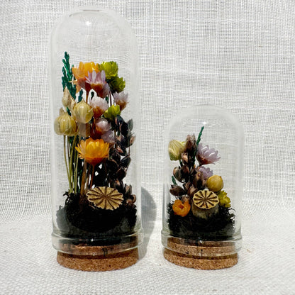 Hexed Hollow Mini Terrarium Halloween Dried Floral Cloche