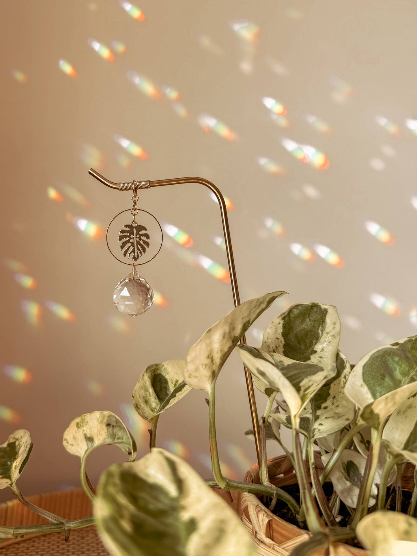 Plant Stake | Suncatcher + Monstera | Houseplant Accessory