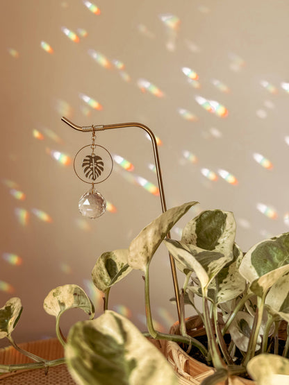 Plant Stake | Suncatcher + Monstera | Houseplant Accessory