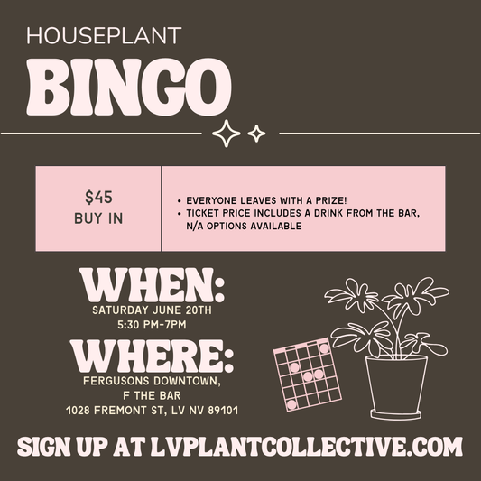 Houseplant Bingo 6/20