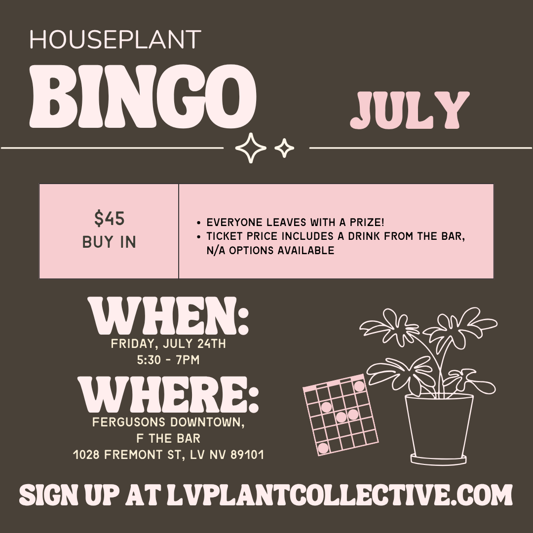 Houseplant Bingo, 7/24