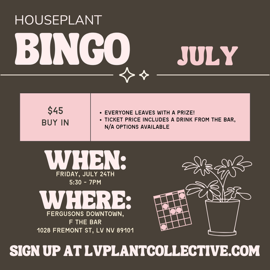 Houseplant Bingo, 7/24