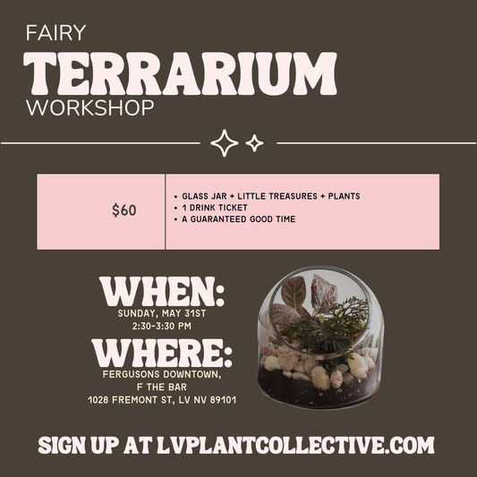 Terrarium Workshop 5/21