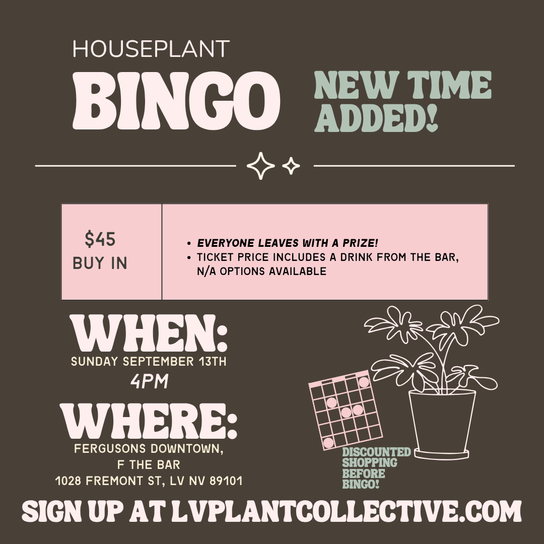 Bingo, 9/13 @ 4PM