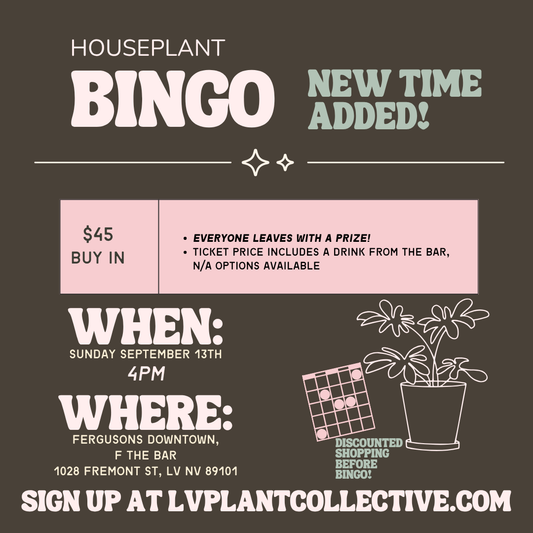 Bingo, 9/13 @ 4PM