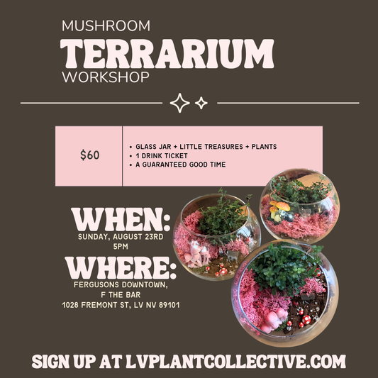 Mushroom Terrarium, 8/23