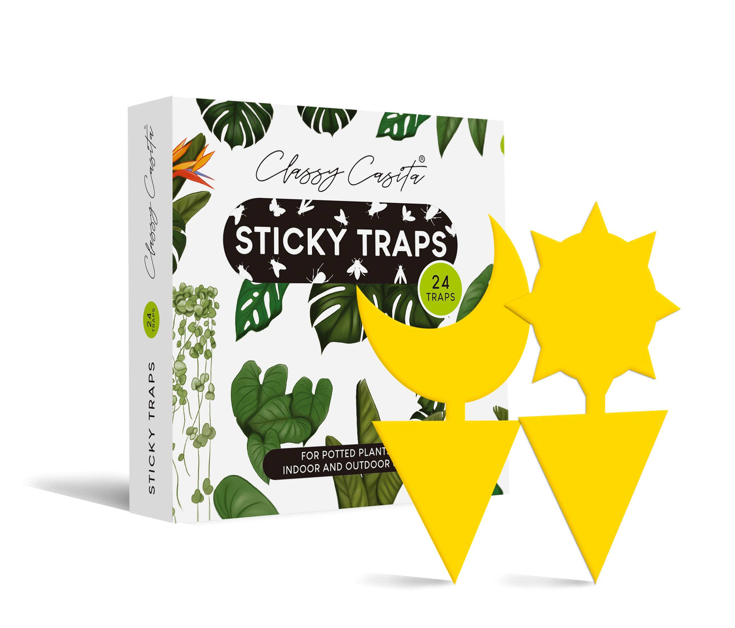 Gnat Sticky Traps