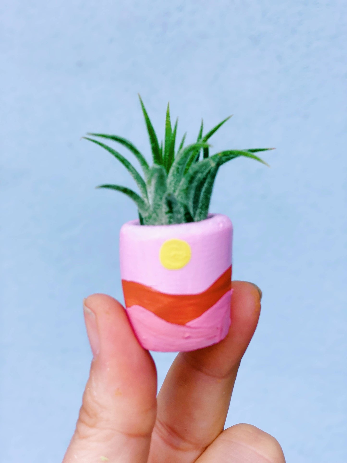 Hand Painted Baby/Mini Planters